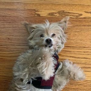 Meet your Posher, Lourdes